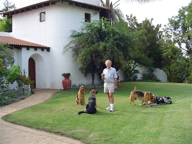 house and dogs